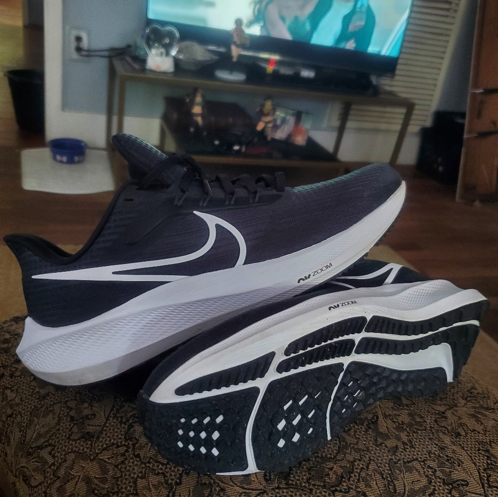 NIKE Pegasus 39 Womens 11